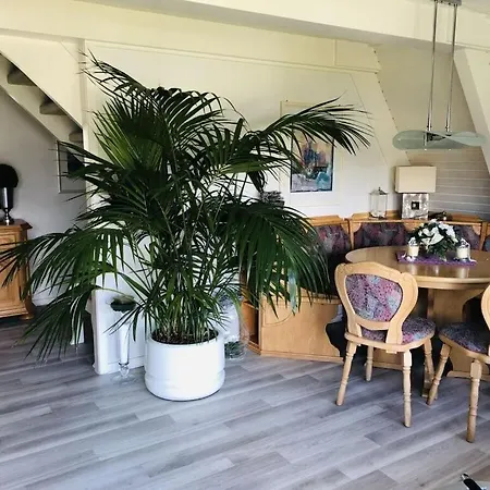 Frog Modern Retreat * Hoddersdeich