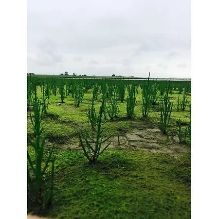 Holiday home Frog Modern Retreat Hoddersdeich