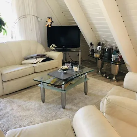 Frog Modern Retreat *