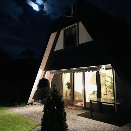 Frog Modern Retreat *